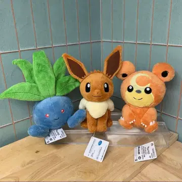 포켓몬스터 다정한 기분 봉제 인형 나조노쿠사 이브이 히메그마