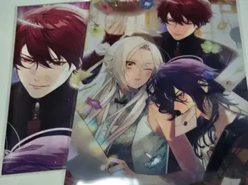 올림피아 소와레 Catharsis 스텔라 특전 천 포스터 클리어 파일