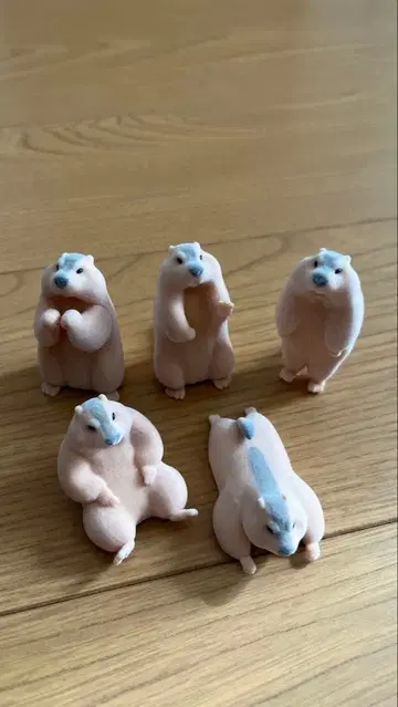 마모트 피규어 5체 세트