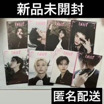 straykids 스키즈 accordion 아코디언 미개봉 트레이딩 카드