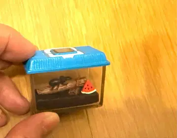 즐거운 사육 당번 사슴벌레 미니어처 유진