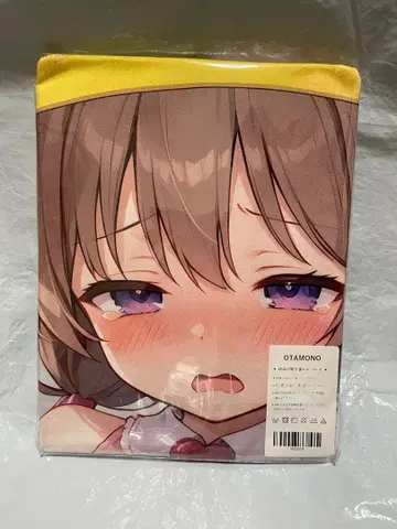 33678 빈 보컬로이드 츠쿠요미 아이