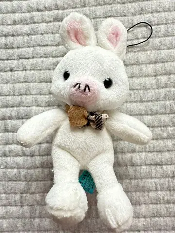 미남이시네요. 돼지토끼 택 포함 봉제 인형