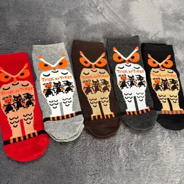 어린이용 올빼미 패턴 양말 5켤레 세트