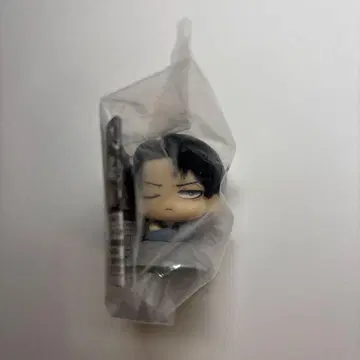 진격의 거인 리바이 오네무탄