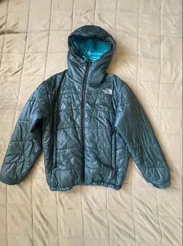 THE NORTH FACE 다운 자켓
