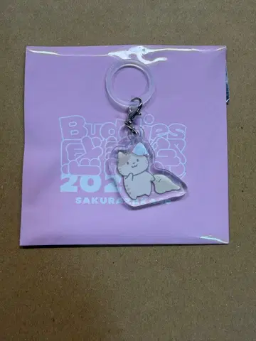 야마시타 시즈키 메지루시 참