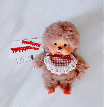 보들보들 스위트 브라운 몽치치