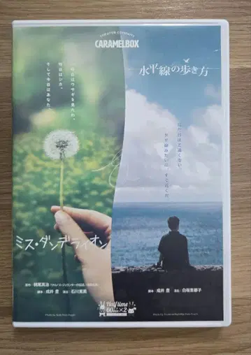 수평선 걷는 법 / 미스 댄들라이온 DVD