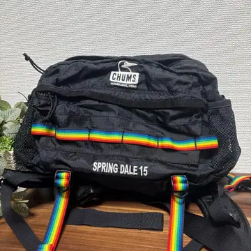 CHUMS SPRING DALE 15 백팩