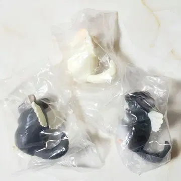 [ 7986 ] - 이노리 - INORI