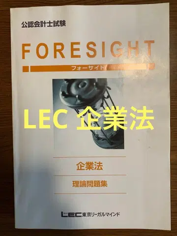 LEC 기업법 논문 2025년 목표