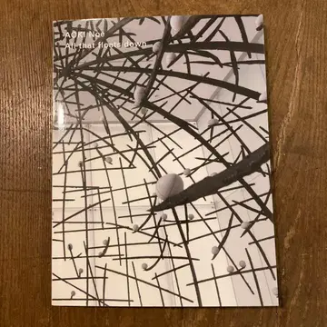 아오키노 에다 쏟아지는 것들