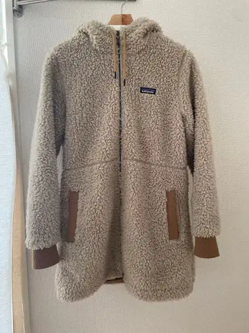 파타고니아 더스티 메사 후드티