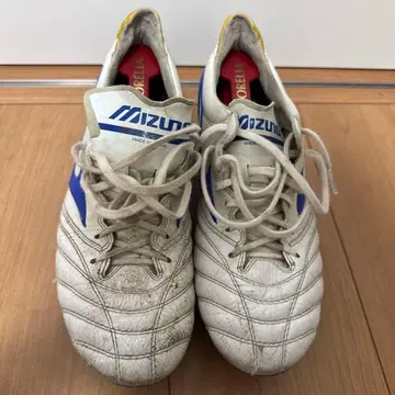 모렐리아 네오 2 교체