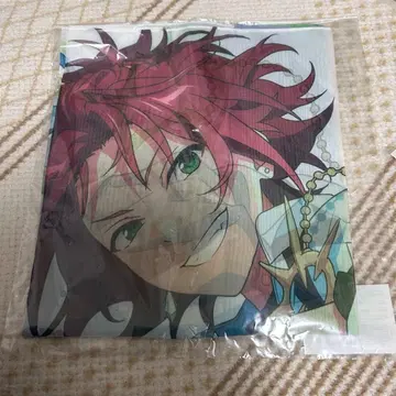 이사라 마오 시어 스톨