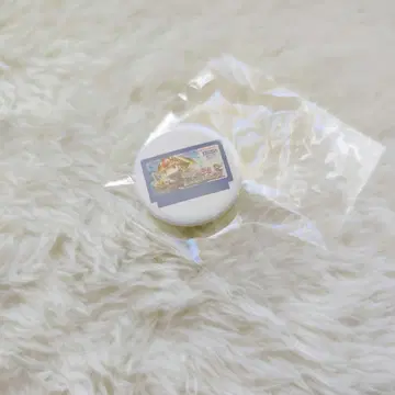 나침반 콩 캔뱃지 용사