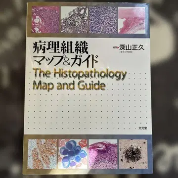 병리 조직 맵 & 가이드 문광당