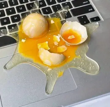 깨진 달걀 깜짝 쇼!!