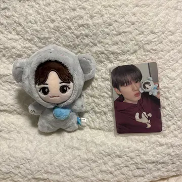 TREASURE 준규 funny 봉제 인형 트레이딩 카드
