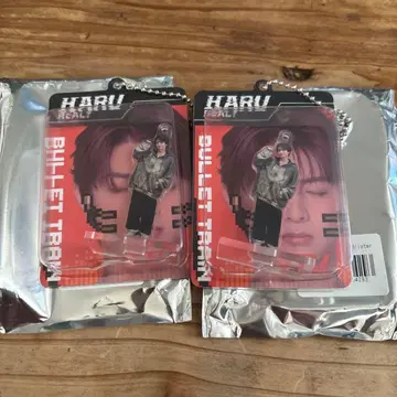 초특급 Haru Bullet Train 키링