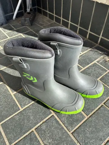 Daiwa 낚시용 부츠 그레이/그린
