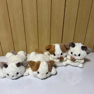 고양이 봉제 인형 세트