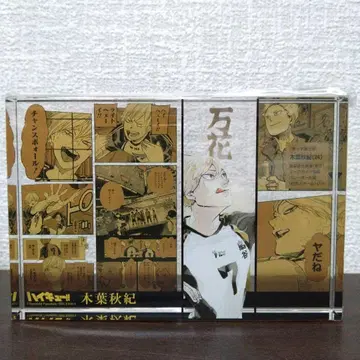 하이큐 아크릴 블록 코노하 아키노리 벌스데이 HEROES