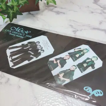 보물 레어 MAX 컬렉션 카드 LIVE CONTACT 1999