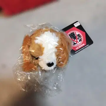 마개조의 밤 THE MUSEUM 스패니얼 페이스 마스코트