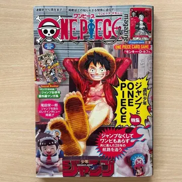 ONE PIECE magazine 20호 미사용 새상품 카드 포함