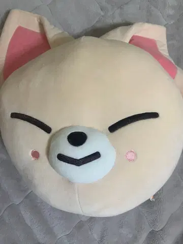 straykids 아이엔 쿠션 스키즈 SKZOO