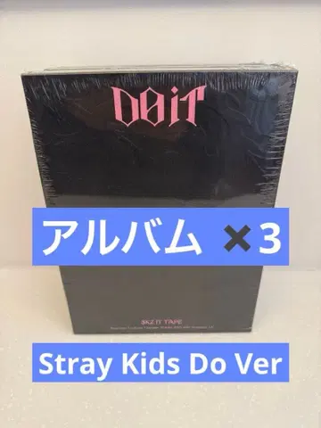 Stray Kids Do It 앨범 Do ver.