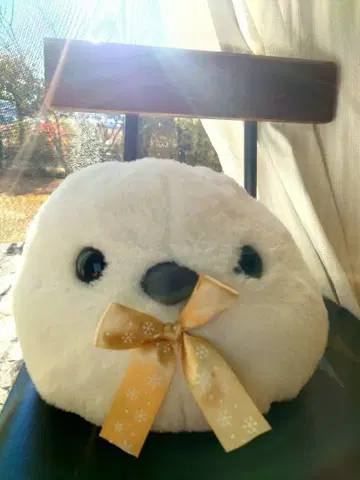 시나에나가 봉제 인형 익명 배송 배송비 포함 증정품 포함