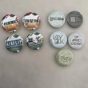 카미코베 레이디클레 캔 배지