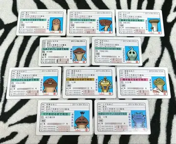 만지작 탐정 버섯 재배 키트 패러디 카드 10종 세트 1 낱개 판매