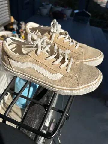 반스 베이지/화이트