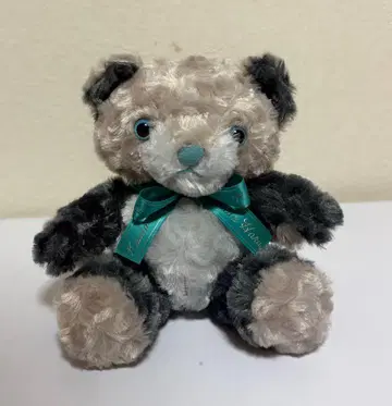 NIJI 베어 카이다 하루