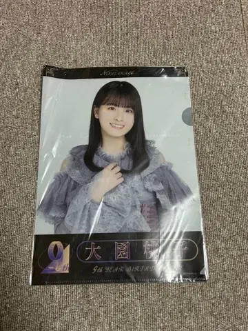 오오조노 모모코 클리어 파일 브로마이드 세트