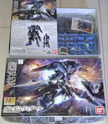 HG 1/144 건담 비다르