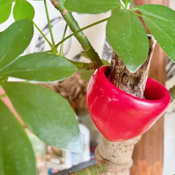 70s 70년 빈티지 뱅글