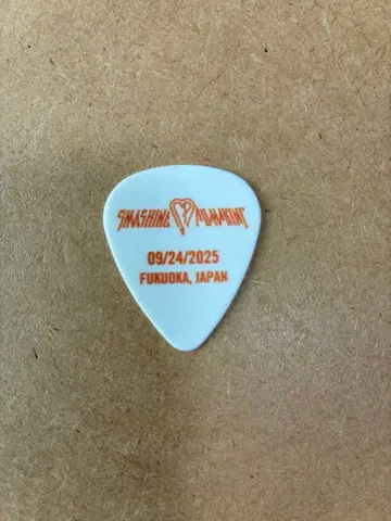 Smashing Pumpkins / 키키 원의 피크