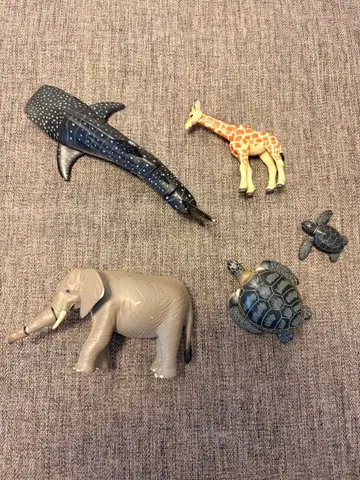 아니아 동물 피규어 5체 세트
