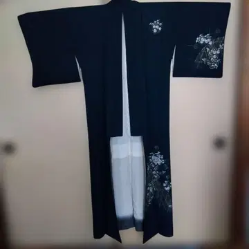 호몬기 녹색을 띤 짙은 남색