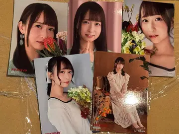 드래곤 에이지 2026년 1월호 게이머즈 특전 하나이와 카나 5장