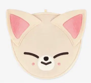 아이엔 부채 커버