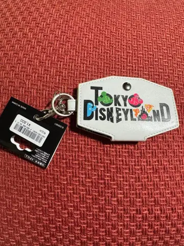 Tokyo Disneyland 키링 2020