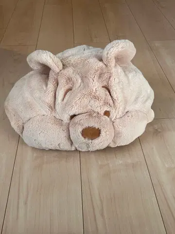 푸우 모자 디즈니씨