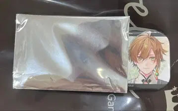 오란피아 소와레 catharsis 스텔라워스 조기 캔뱃지