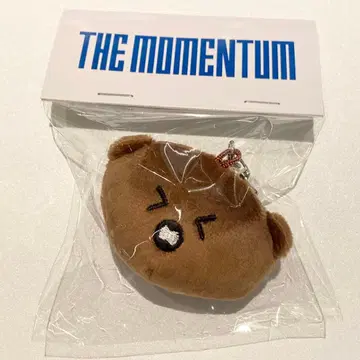 NCT 127 이리치루 도쿄돔 마스코트 키링 해찬 미개봉